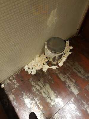 50 Friends Oasis Coyoacán