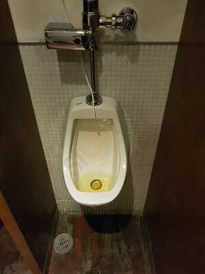 50 Friends Oasis Coyoacán