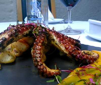 Corazon De Alcachofa