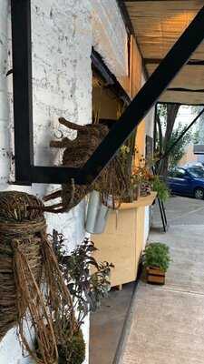 Almapola: Cocina Entrópica