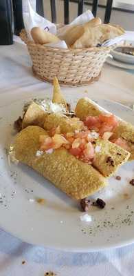 Los Girasoles Del Pedregal