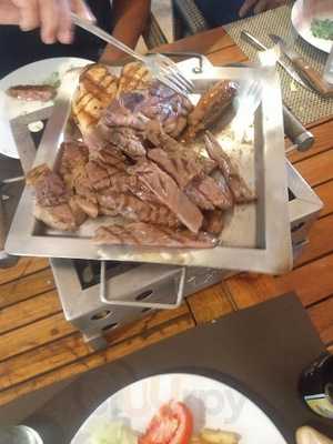 Los Girasoles Del Pedregal