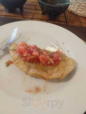 Los Girasoles Del Pedregal