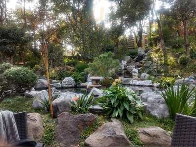 Asociacion Mexico Japonesa