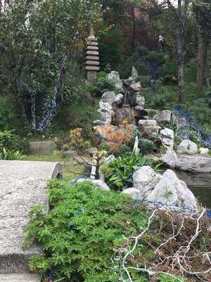 Asociacion Mexico Japonesa