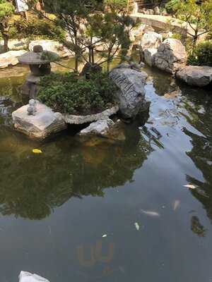 Asociacion Mexico Japonesa