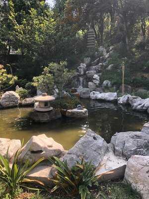 Asociacion Mexico Japonesa