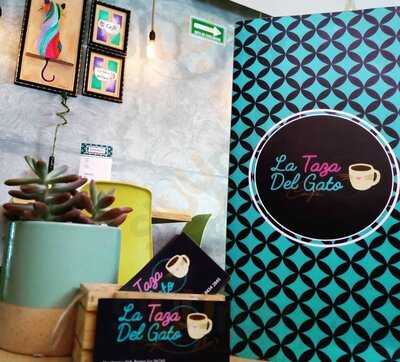 La Taza Del Gato