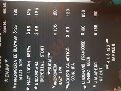 The Beer Company Centro