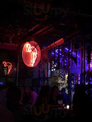 Panic Botanic Masaryk