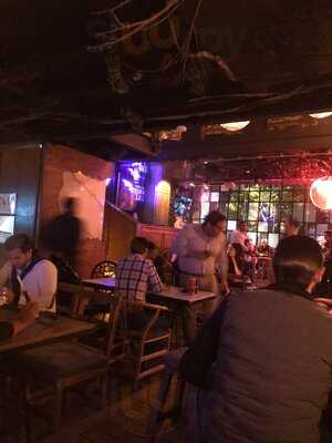 Panic Botanic Masaryk