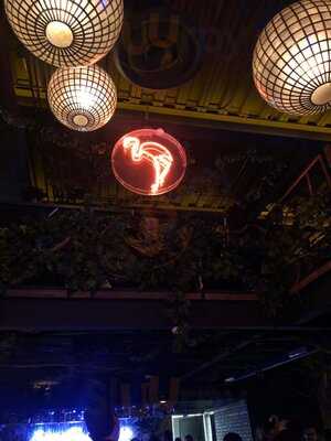 Panic Botanic Masaryk