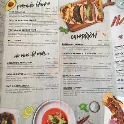 Izzlita By Barezzito