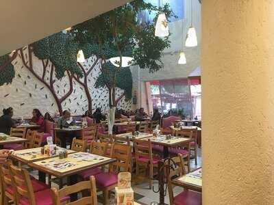 Potzollcalli Echegaray