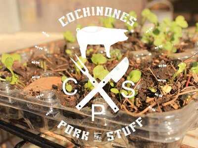 Cochinones Pork And Stuff