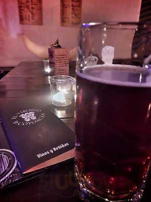 El Vikingo De Coyoacan