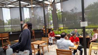 Frutos Prohibidos Médica Sur