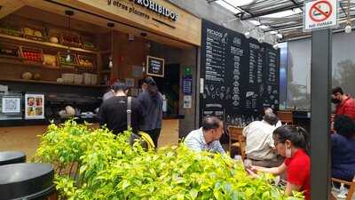 Frutos Prohibidos Médica Sur