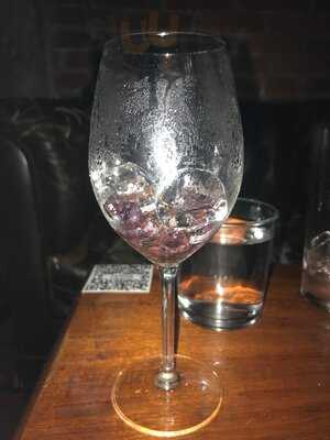 Procer Wine And Beer