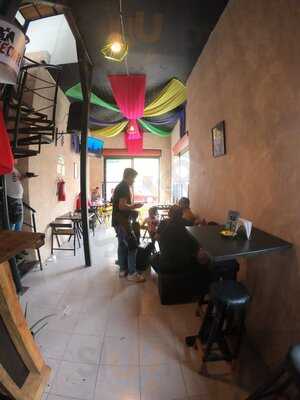 Paloma Negra Tequilera