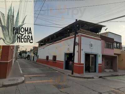 Paloma Negra Tequilera