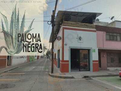 Paloma Negra Tequilera