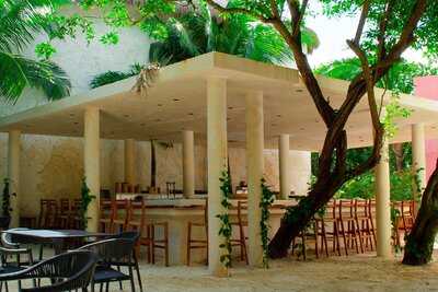 Ginza Tulum