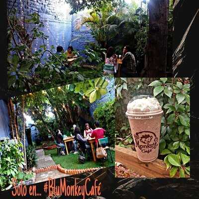 Blu Monkey Café