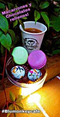 Blu Monkey Café