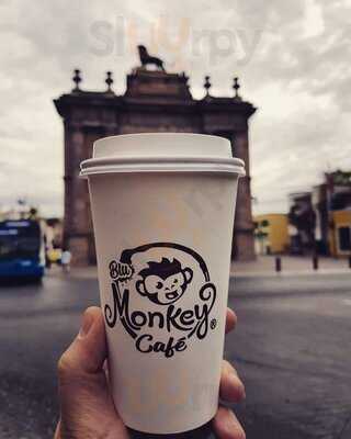 Blu Monkey Café