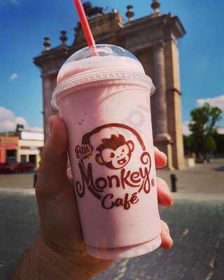 Blu Monkey Café