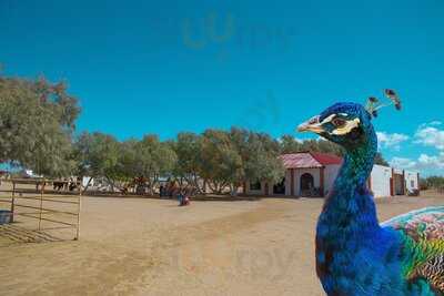 Los Pavorreales Restaurante