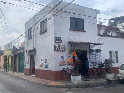 Torteria La Planta