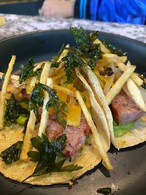 Fairchild 1869 Polanco