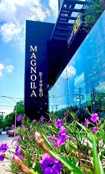 Magnolia Bistro