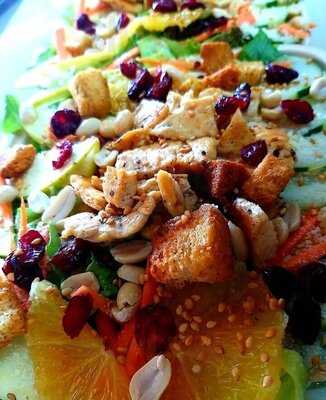 Las Tortugas De Balbuena