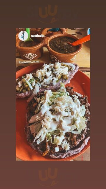 Maiz Y Cacao