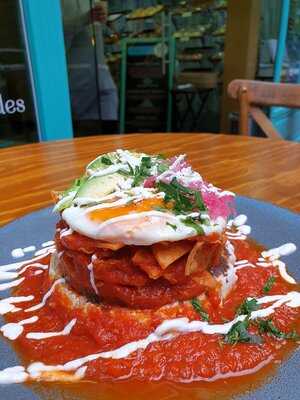 Santas Conchas Condesa