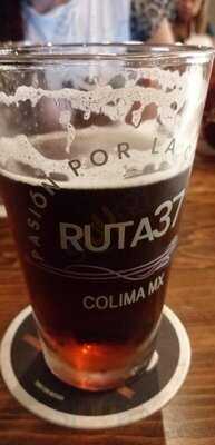 Ruta37