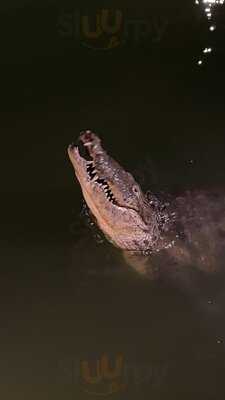 Trattoria Limoncello