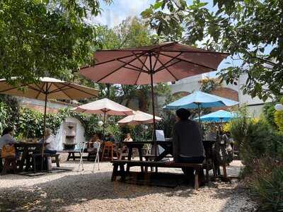 The Green Corner Coyoacán