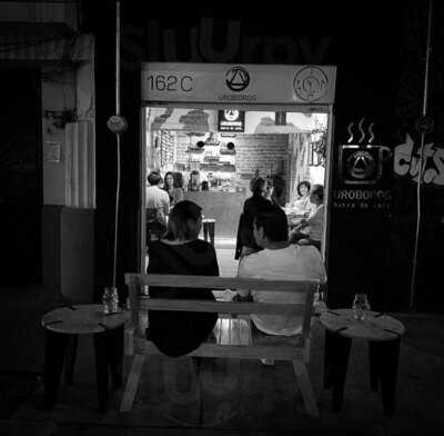 Uroboros Barra De Café