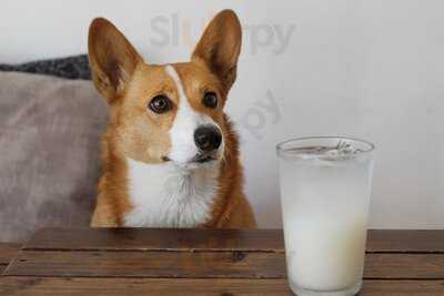 Dochi Ramen & Coffee