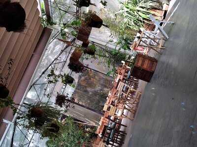 Zunzún, Jungla Insular