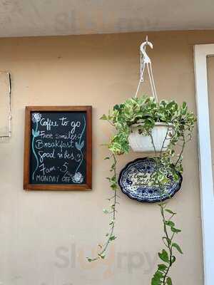 Carolin Cacao Cafe & Gelato