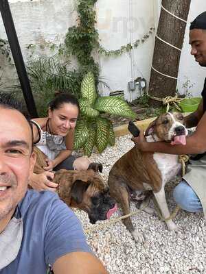 Nanchité  Alta Cantina