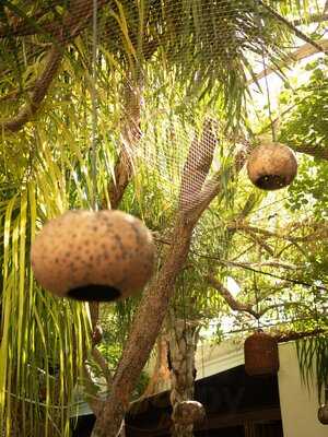 La Bianca Breakfast Brunch &love