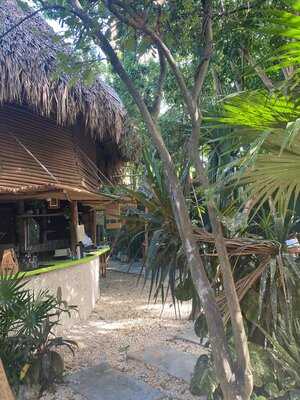 Now Yaca Tulum