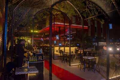 Like  Bar - Terranorte