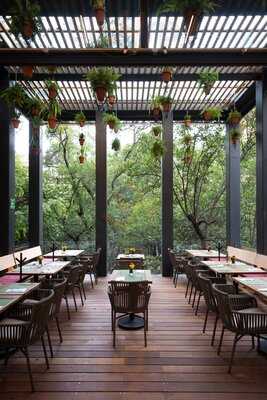 Cafebrería El Pendulo San Ángel